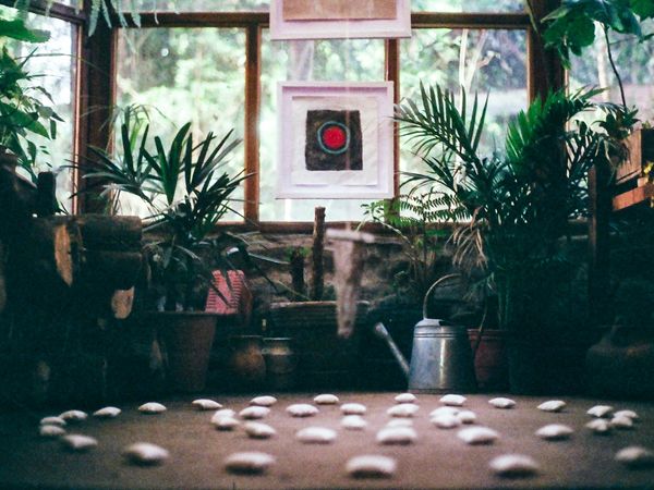 Clean and serene studio interior with plants and natural light.